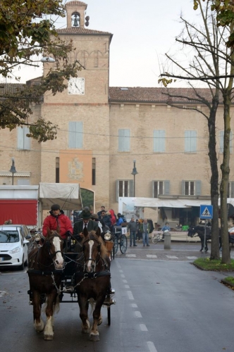 PARADRIVING 2019 MO-VR_17_FOTO_GIORGIO_GIRIBALDI