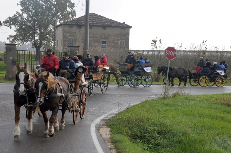 PARADRIVING 2019 MO-VR_18_FOTO_GIORGIO_GIRIBALDI