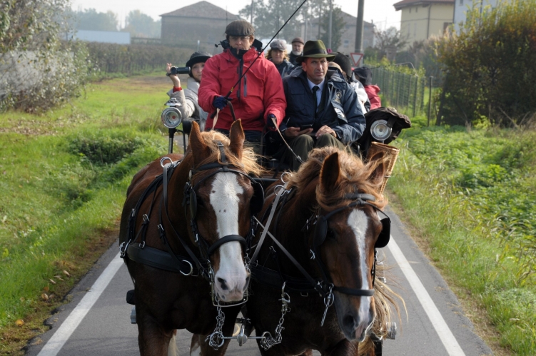 PARADRIVING 2019 MO-VR_19_FOTO_GIORGIO_GIRIBALDI