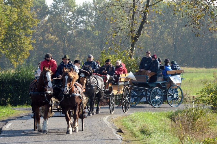 PARADRIVING 2019 MO-VR_22_FOTO_GIORGIO_GIRIBALDI