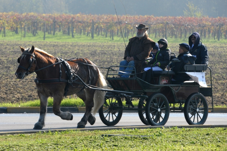 PARADRIVING 2019 MO-VR_25_FOTO_GIORGIO_GIRIBALDI