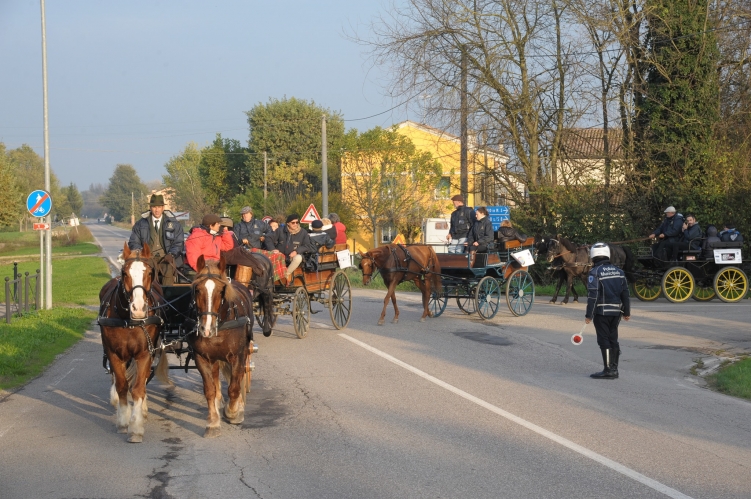 PARADRIVING 2019 MO-VR_34_FOTO_GIORGIO_GIRIBALDI