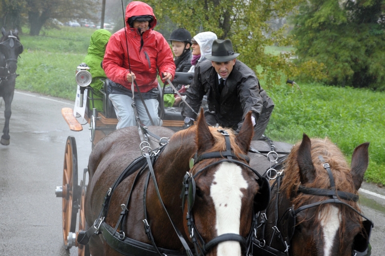 PARADRIVING 2019 MO-VR_4_FOTO_GIORGIO_GIRIBALDI