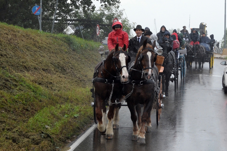 PARADRIVING 2019 MO-VR_8_FOTO_GIORGIO_GIRIBALDI