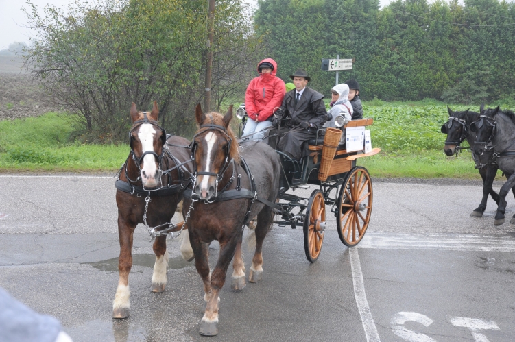 PARADRIVING 2019 MO-VR_9_FOTO_GIORGIO_GIRIBALDI