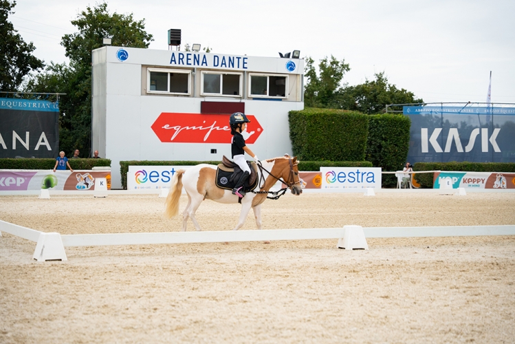 PONYADI-20