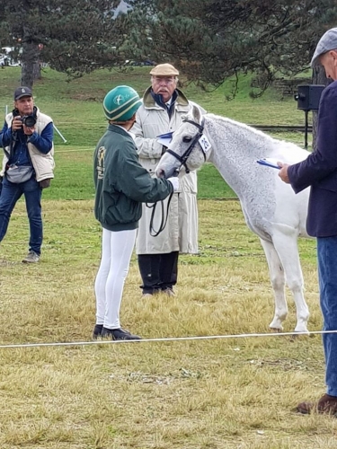 Saggio delle Scuole 2019