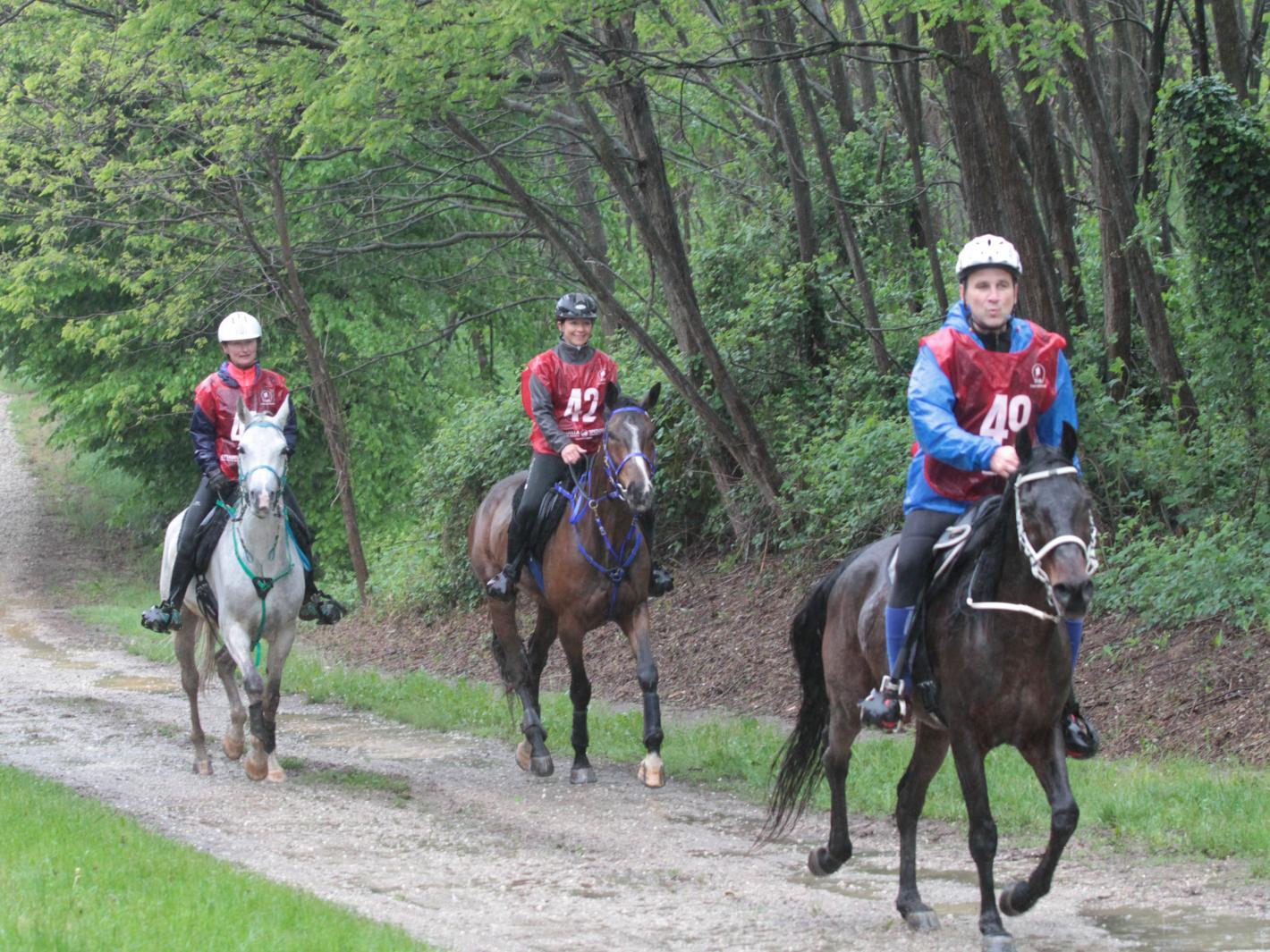 images/friuliveneziagiulia/Endurance/medium/medium/IMG_0156.JPG