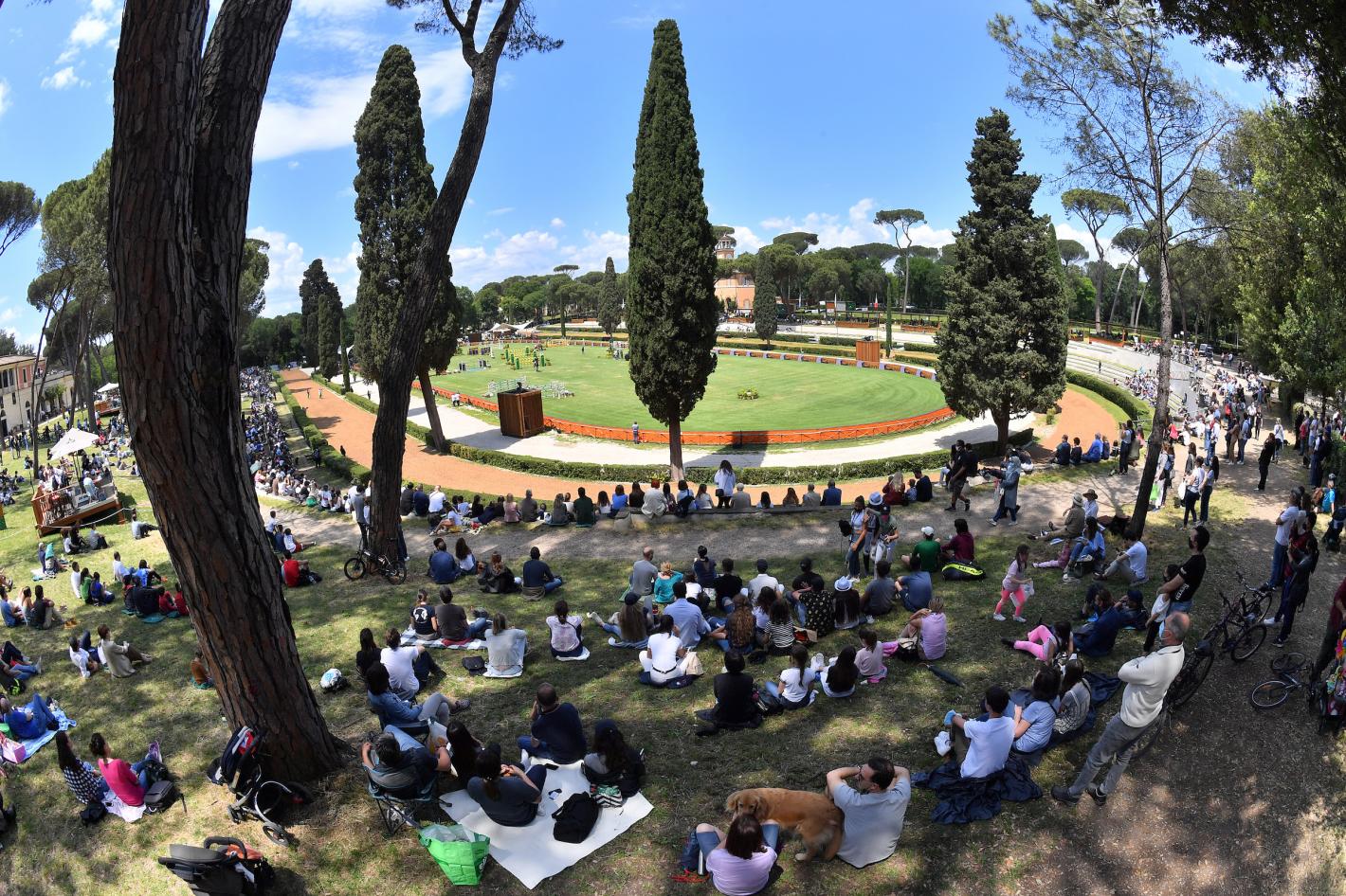 images/friuliveneziagiulia/Salto_Ostacoli/medium/210530_163_Piazza_di_Siena_foto_Simone_Ferraro_SFA_6250_copia.jpg