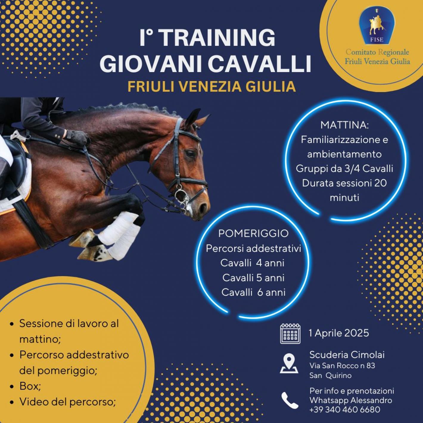 images/friuliveneziagiulia/Salto_Ostacoli/medium/GIOVANI_CAVALLI_FVG.jpg