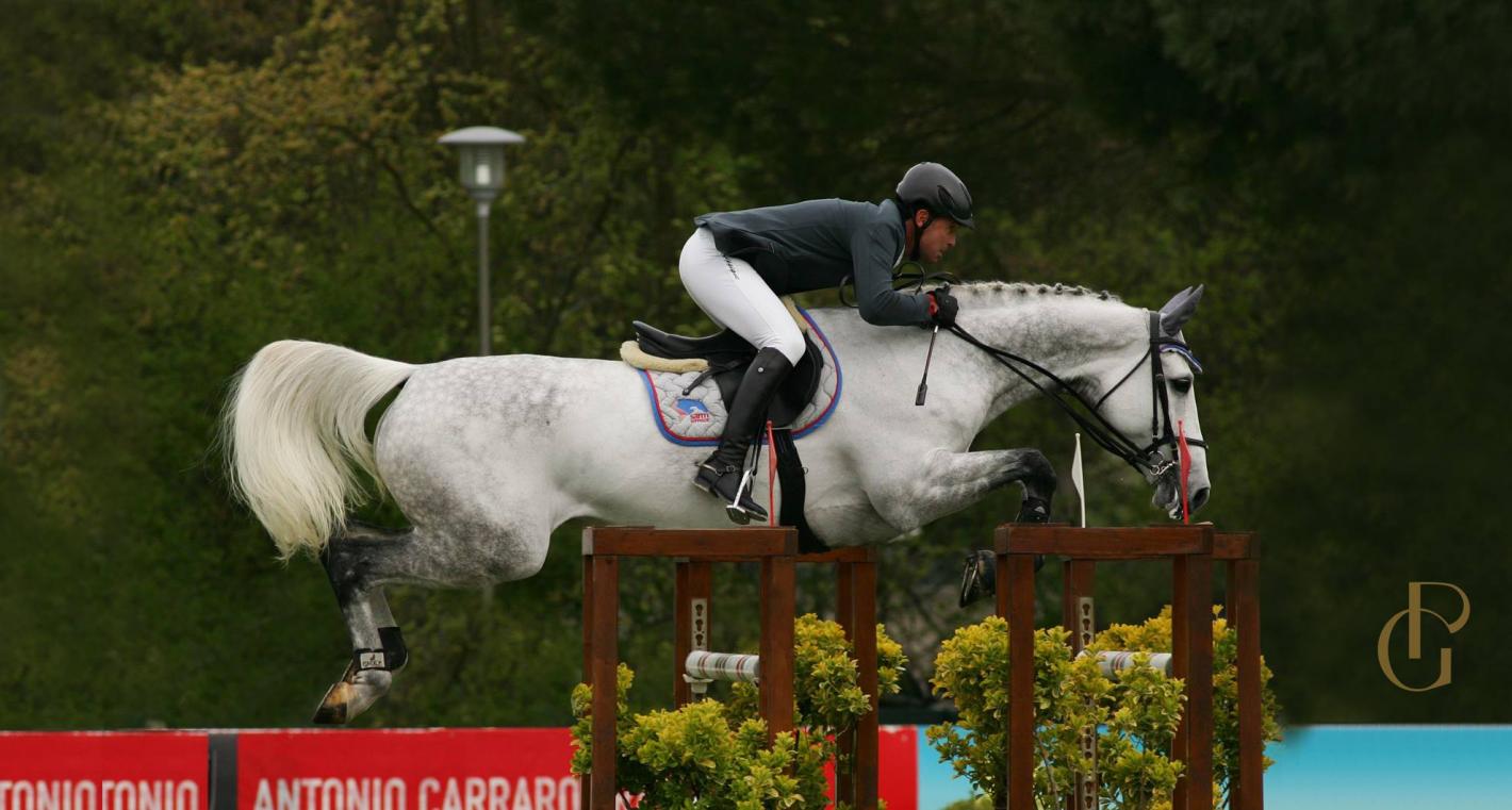 images/friuliveneziagiulia/Salto_Ostacoli/medium/Palmizi.jpg