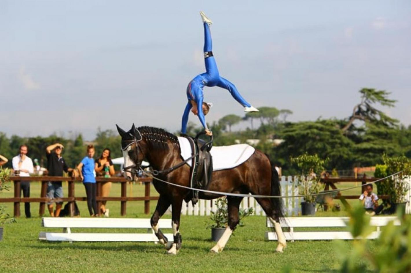 images/friuliveneziagiulia/Volteggio/large/medium/Volteggio_Ponyadi.jpg