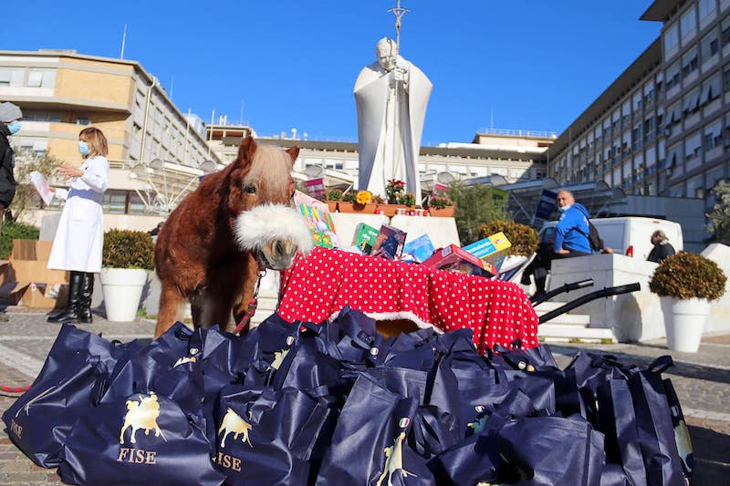 Natale con la FISE Roma 2