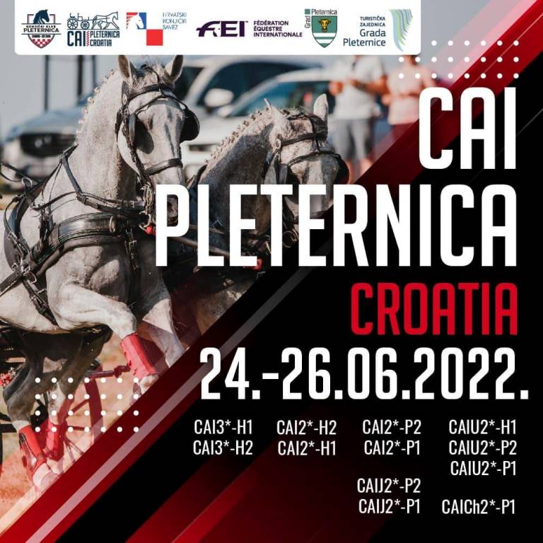 220623 pleternica flyer