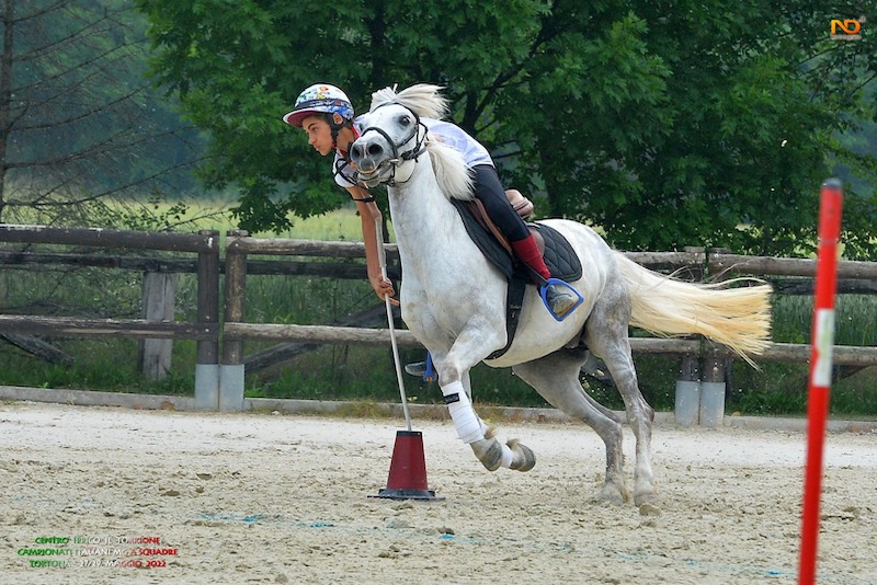 Mounted games generica. ND fotografie