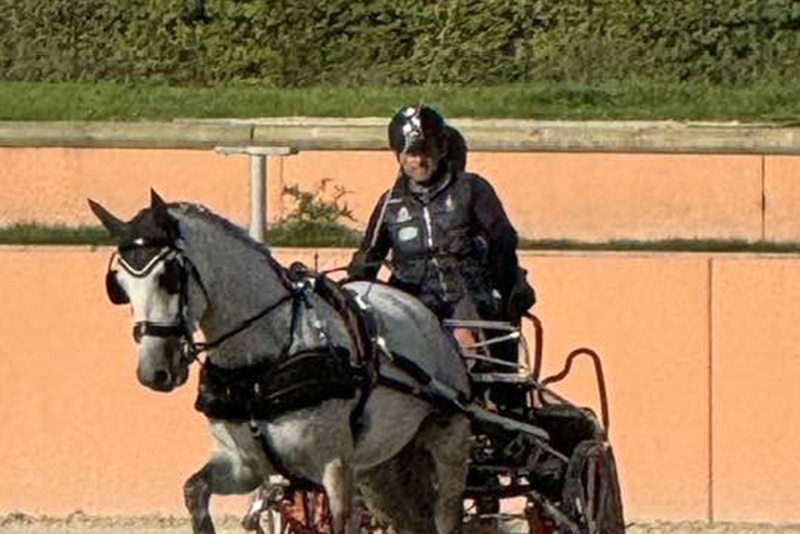 CIVIDINI NICO
