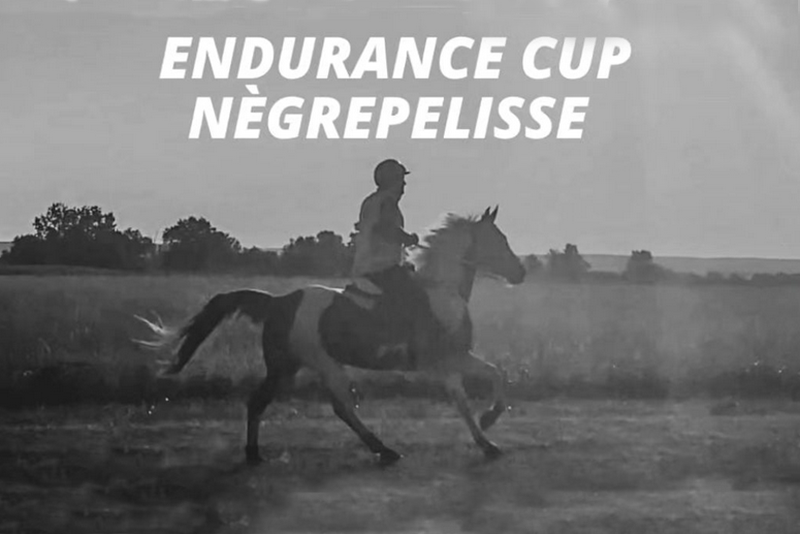 NEGREPELISSE 2023
