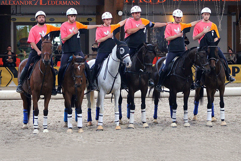 CIRCOLO DI NOVI HORSE BALL