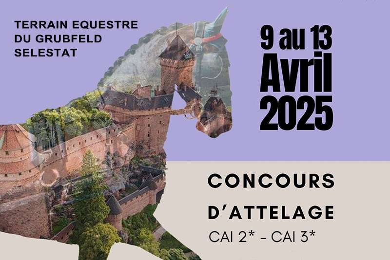 Selestat 2025