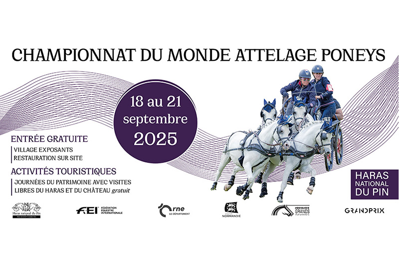 le pin au haras 2025