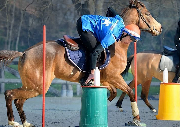 Mounted Games Generica