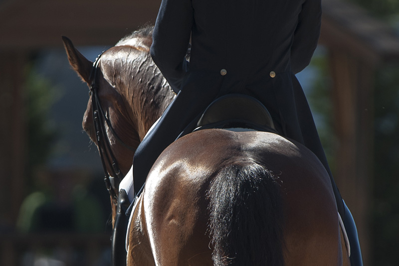 GENERICA DRESSAGE FEI