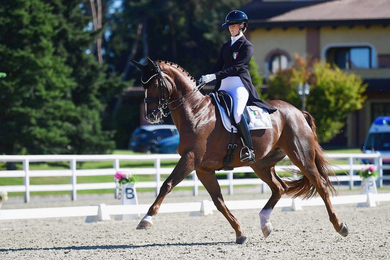 WAHLUND Nathalie Gorklintgards Scorpion Sasso