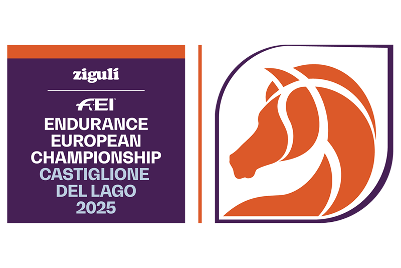 CASTIGLIONE EUROPEI LOGO
