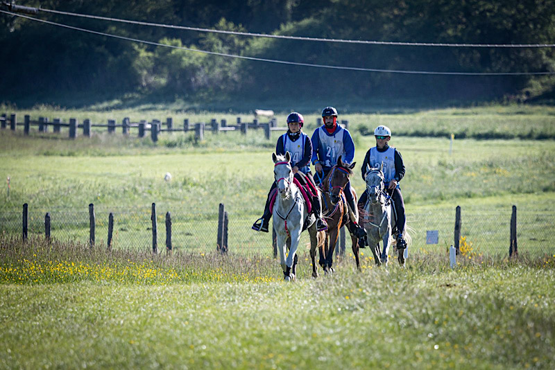 ENDURANCE CEF ARGENZIANO