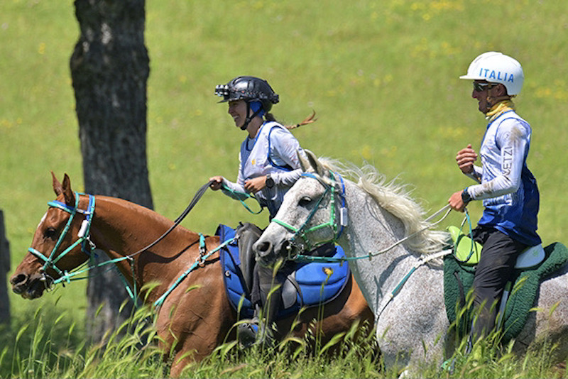 Endurance sportendurance