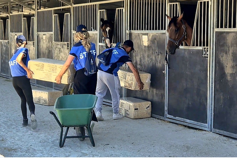 Equiromens 5