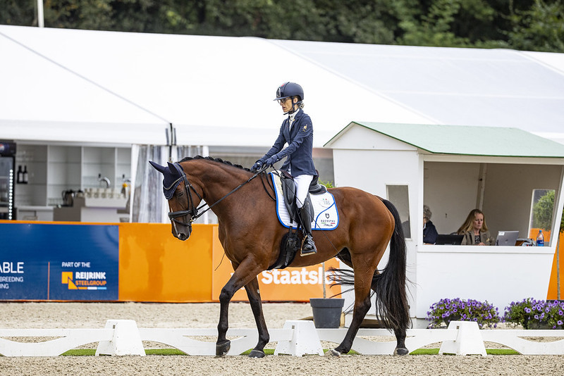 Morganti mariebelle fei Leanjo de Koster