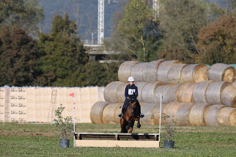 CROSS PROMOZIONE E SVILUPPO