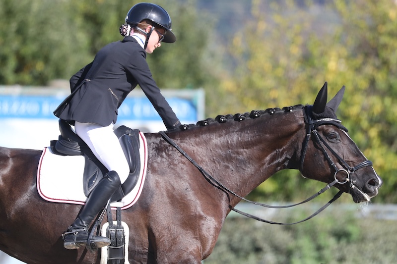 DRESSAGE PROMOZIONE E SVILUPPO