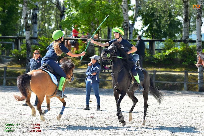 Mounted games