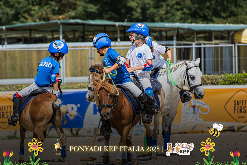 Ponyadi notizia 800 x 534