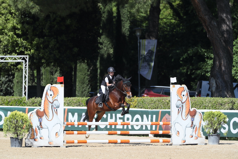 Salto pony