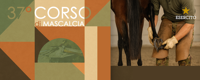 37 corso mascalcia