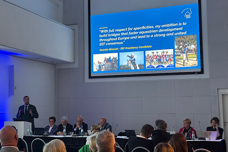 ASSEMBLEA EEF