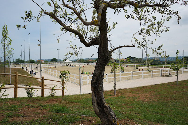 FONTEMORO 