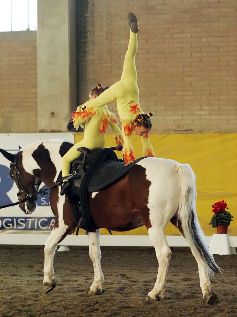 VOLTEGGIO BAMBINI GENERICA