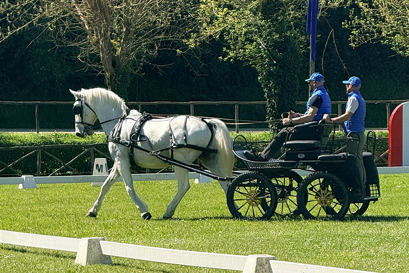 ATTACCHI GENERICA ITALIA