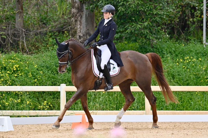 Generica Dressage 3