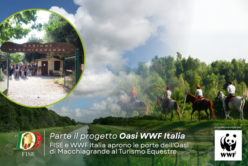 Banner WWF Italia 
