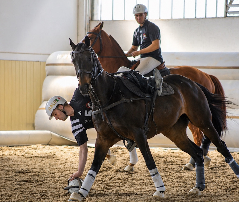 Horseball generica 2