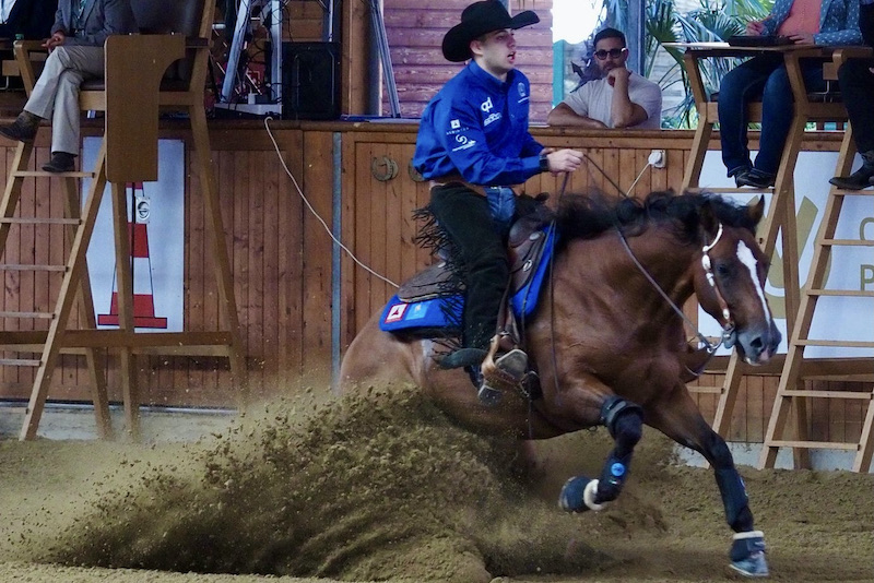 Reining mondiali