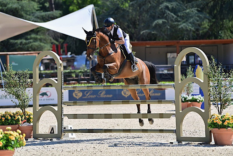Francesco Vergine Master Gold