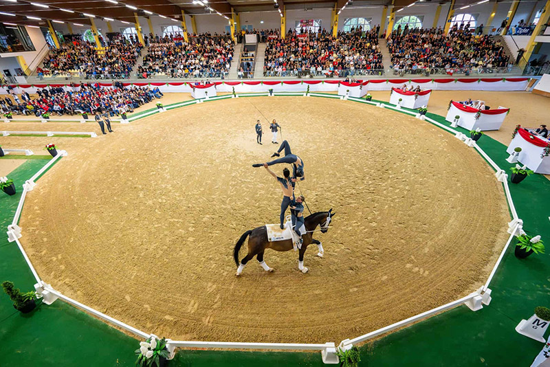STADL PAURA vaulting 3