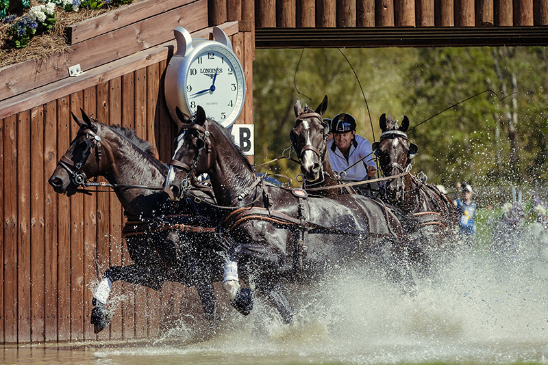 EXELL Tryon 2018 FEI Christophe Taniere