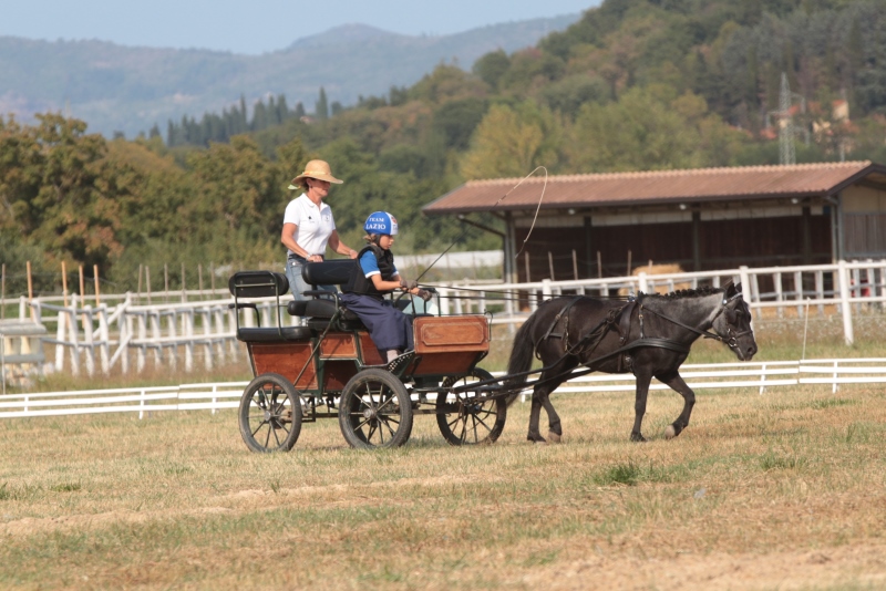 PONYADI 2017 ATTACCHI PRIMI PASSI 3965